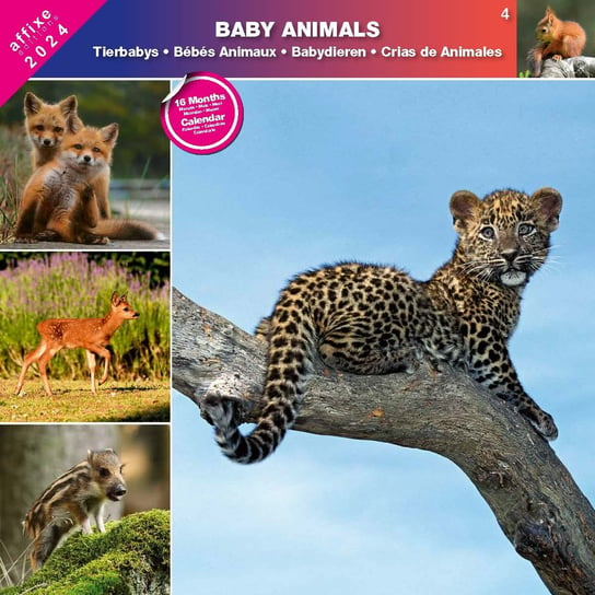 Kalendarz 2024 Baby Animals Inna marka