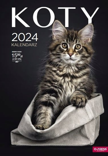 Kalendarz 2024 Ścienny A3 Koty O-Press Inny producent