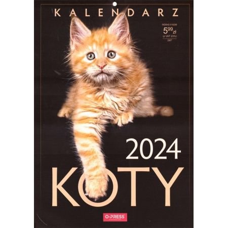 Kalendarz 2024 Ścienny A4 Koty O-Press Inny producent
