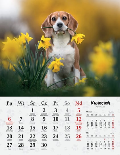 Kalendarz 2026 wieloplanszowy Psy pieski psiaki 34x44cm podgląd na 2 miesiące Inna marka