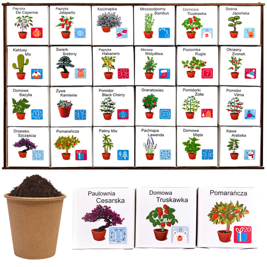 KALENDARZ ADWENTOWY Rośliny do uprawy zestaw DIY 24 pudełka dla dzieci 2023 Inna marka
