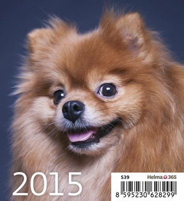 Kalendarz biurkowy 2015, Szczeniaki Helma 365