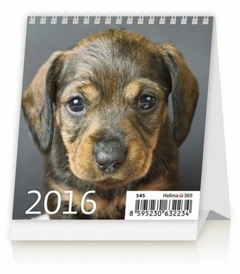 Kalendarz biurkowy 2016, Szczeniaki Helma 365