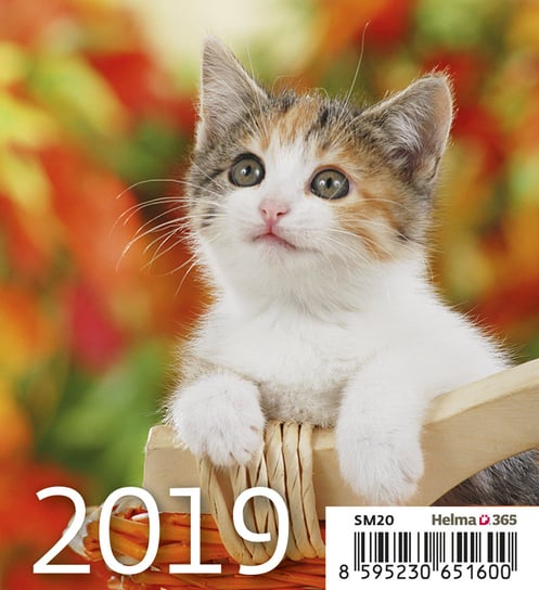 Kalendarz biurkowy 2019, Kotki Sztuka Rodzinna