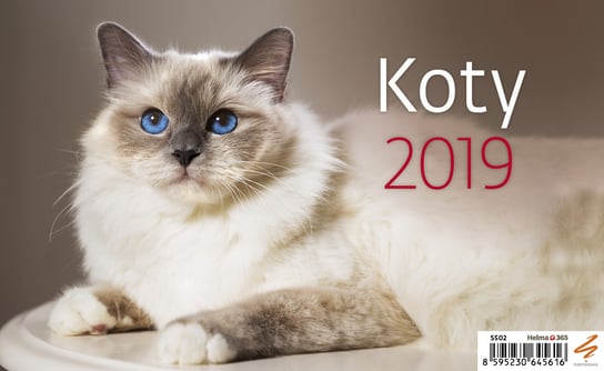 Kalendarz biurkowy 2019, Koty Helma 365