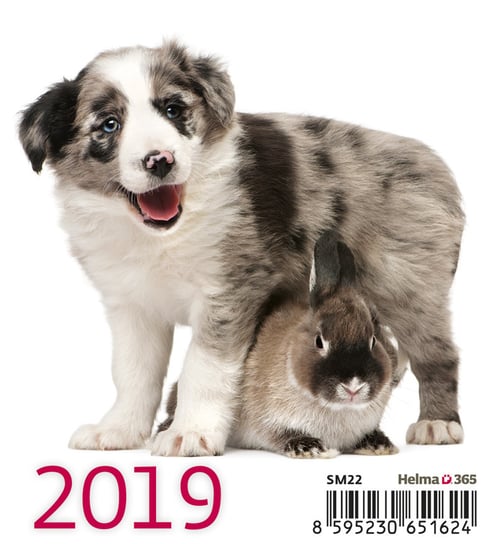 Kalendarz biurkowy 2019, Przyjaciele Helma 365