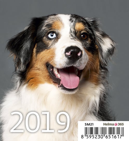 Kalendarz biurkowy 2019, Psy Helma 365