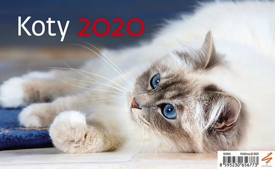 Kalendarz biurkowy 2020, Koty 