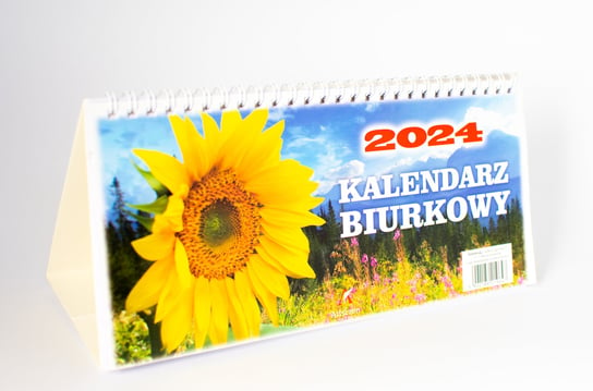 Kalendarz biurkowy 2024 Artsezon różnokolorowy Artsezon