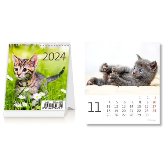 Kalendarz biurkowy 2024 miesięczny Helma 365 mini kotki Helma 365