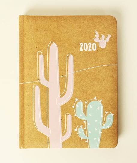 Kalendarz książkowy 2020, kraftowy, Be Eco - Kaktus Albi