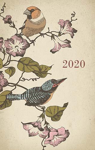 Kalendarz książkowy 2020, Ptaki Zielona Sowa