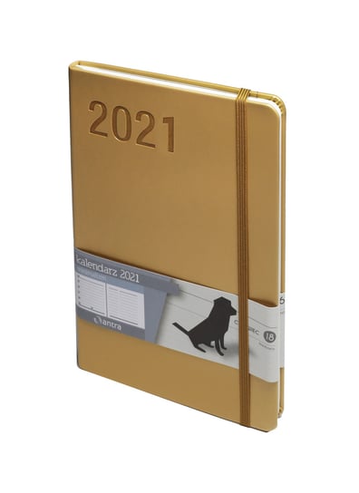 Kalendarz książkowy 2021, A5, Minimalizm, musztardowy Antra