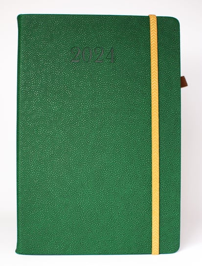 Kalendarz książkowy 2024 dzienny A5 Artsezon krokodylek pro Zielony Artsezon