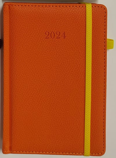 Kalendarz książkowy 2024 dzienny B6 Artsezon waran Pomarańczowy Artsezon