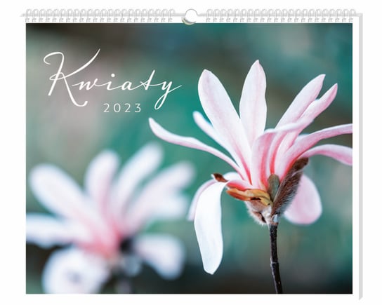 Kalendarz miesięczny, 2023, Kwiaty, 33,5x40 cm Interdruk