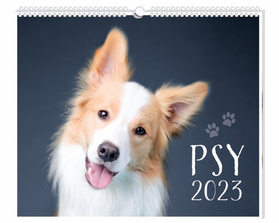 Kalendarz miesięczny, 2023, Psy, 33,5x40 cm Interdruk