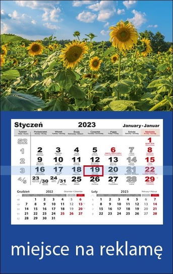 Kalendarz miesięczny, 2023, Różnokolorowy Parma Press