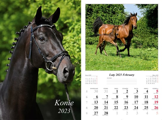 Kalendarz miesięczny, 2023, Ścienny, Konie Radwan