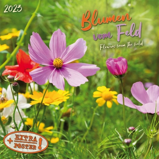 Kalendarz Miesięczny, 2023, Ścienny, Kwiaty TUSHITA Verlags