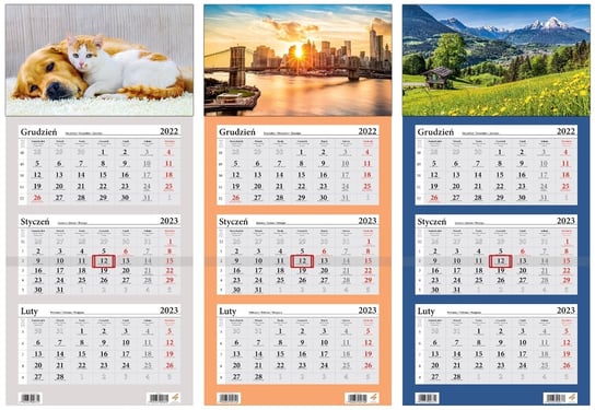Kalendarz miesięczny, 2023, Ścienny, Mix 3 wzorów, 32x67 cm Sztuka Rodzinna