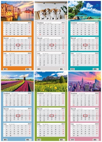 Kalendarz miesięczny, 2023, Ścienny, Mix 6 wzorów, 32x67 cm Sztuka Rodzinna