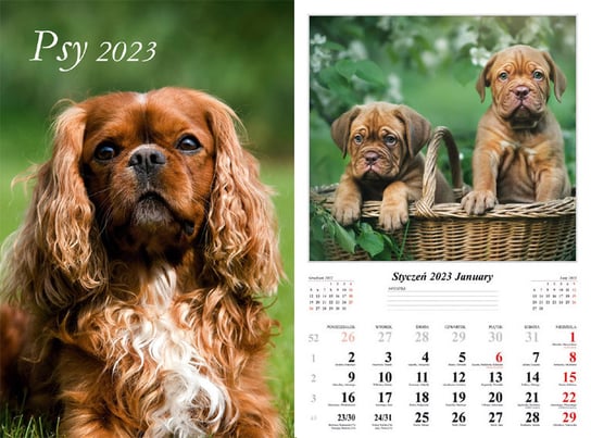 Kalendarz miesięczny, 2023, Ścienny, Psy Radwan