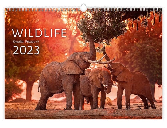 Kalendarz miesięczny, 2023, Ścienny, Wildlife, 48,5x34 cm Helma 365