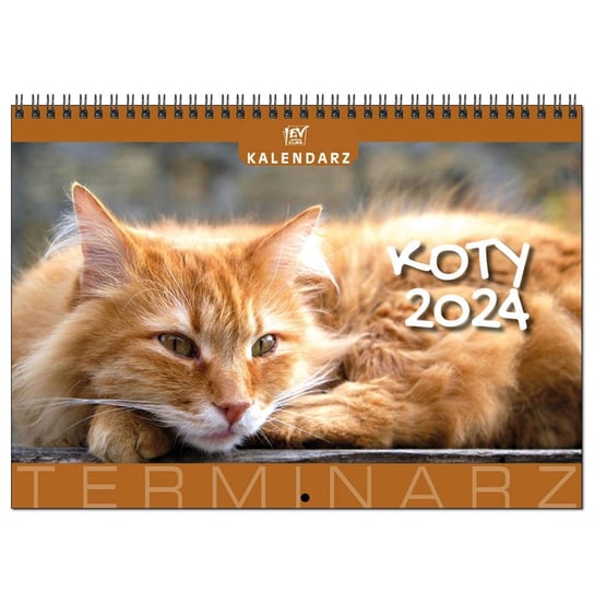 Kalendarz miesięczny, 2024, 29x41 cm, terminarz ścienny, Koty EV-Corp