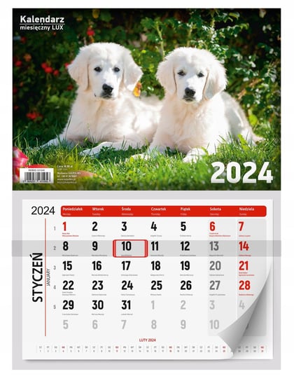 Kalendarz Miesięczny Lux 2024 Kalpolbis Inny producent