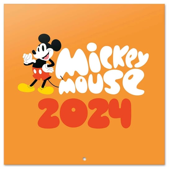 Kalendarz planer ścienny 2024 miesięczny Nice Stuff Disney Nice Stuff