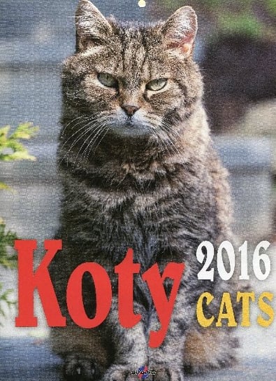Kalendarz ścienny 2016, Koty avanti