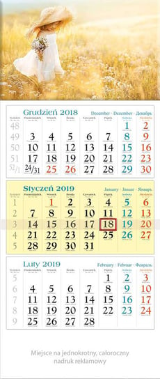Kalendarz ścienny 2019 Codex