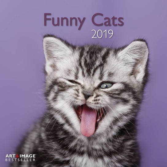Kalendarz ścienny 2019, Funny Cats 