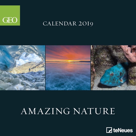 Kalendarz ścienny 2019, Geo, Amazing Nature 