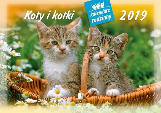 Kalendarz ścienny 2019, Koty i kotki Lucrum