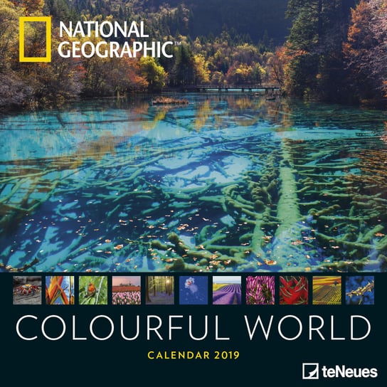 Kalendarz ścienny 2019, National Geographic, Colorful World 