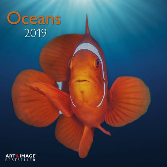 Kalendarz ścienny 2019, Oceans 