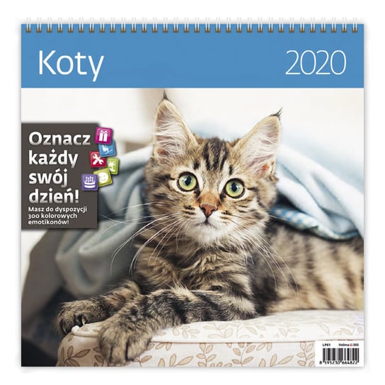 Kalendarz ścienny 2020, Koty Sztuka Rodzinna