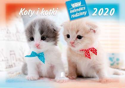 Kalendarz ścienny 2020, Koty i kotki Lucrum