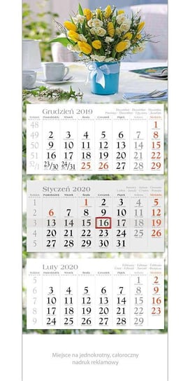 Kalendarz ścienny 2020, trójdzielny, Tulipany Codex