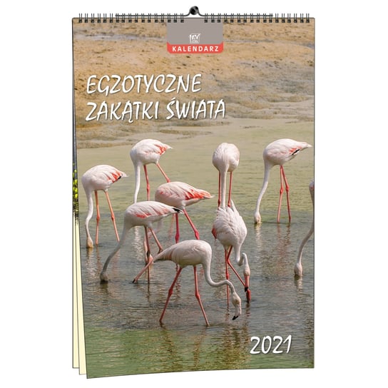 Kalendarz ścienny 2021, Egzotyczne zakątki świata EV-CORP
