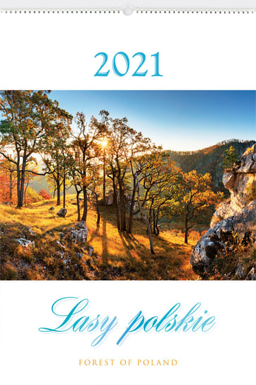 Kalendarz ścienny 2021, Lasy polskie Lucrum