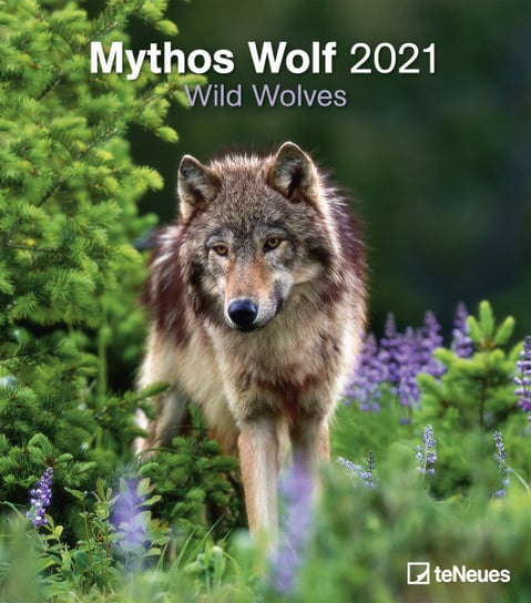 Kalendarz ścienny 2021, Mythos Wolf Teneues