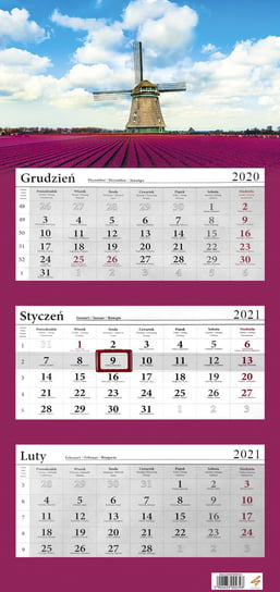 Kalendarz ścienny 2021, trójdzielny mix, 6 wzorów Narcissus