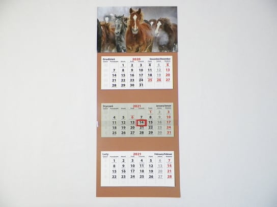 Kalendarz ścienny 2021, trójdzielny, standardowy, Konie KALTOM