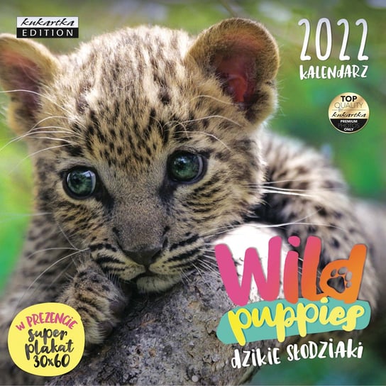 Kalendarz ścienny 2022, Wild Puppies Passion Cards