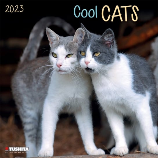 Kalendarz Ścienny 2023  Koty Kotki TUSHITA Verlags