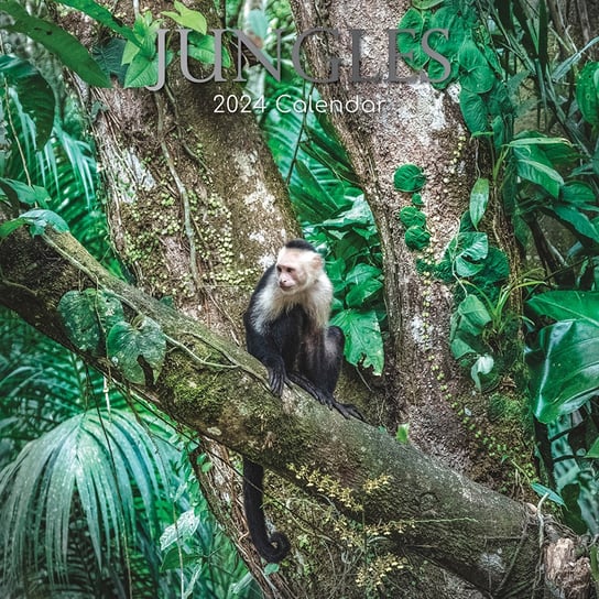 Kalendarz Ścienny 2024 Dżungla Zwierzęta THE GIFTED