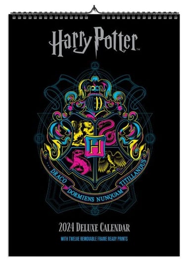 Kalendarz Ścienny 2024 Miesięczny A3 Danilo Harry Potter Danilo